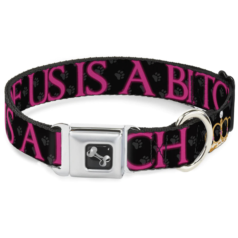 "One Of Us Is A Bitch" Collar